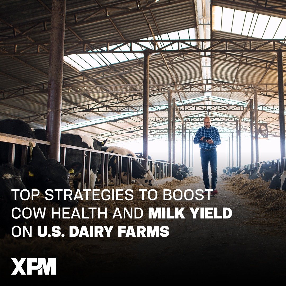 dairy farm